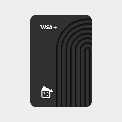 ویزا کارت FGPAY پرمیوم پلاس